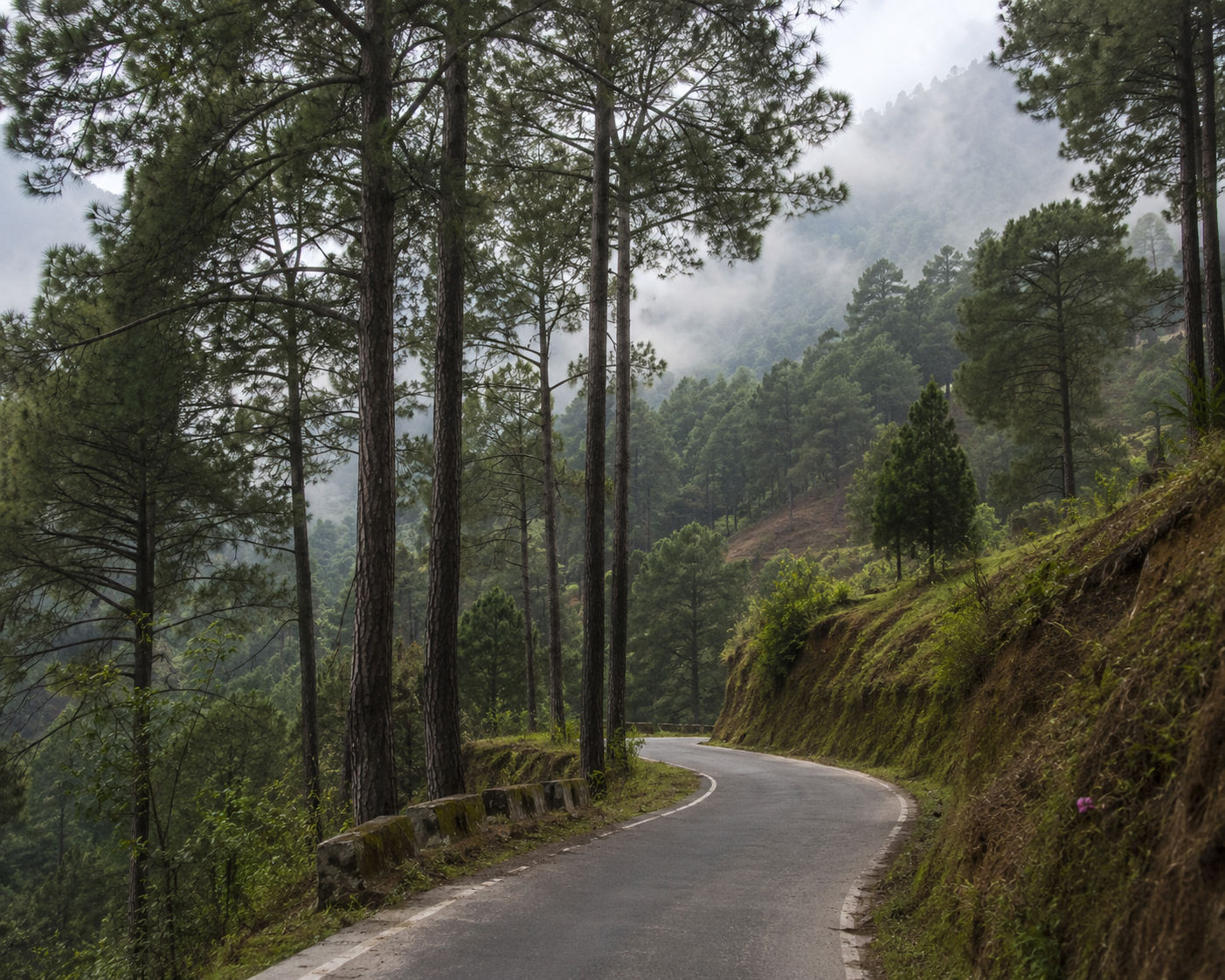 Quiet mountain road near Darjeeling